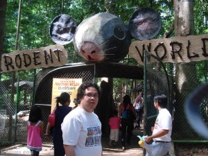Dito Daw Nagmula Si Mickey Mouse :)