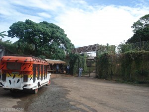 Entrance To Tiger Safari