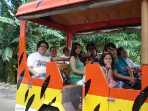 Tiger Safari Train
