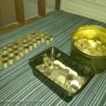 Make Money At Home By Collecting Coins