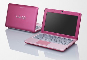 Sony Vaio W-216AG